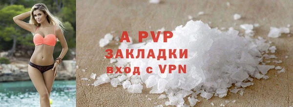 ГАЛЛЮЦИНОГЕННЫЕ ГРИБЫ Карпинск