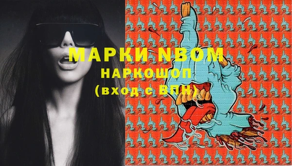 индика Фёдоровский