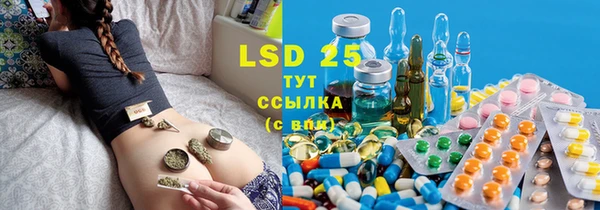 ГАЛЛЮЦИНОГЕННЫЕ ГРИБЫ Карпинск