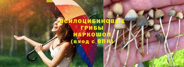прущая мука Абаза
