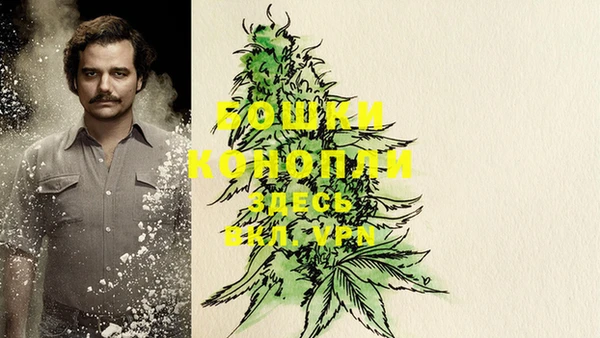 ГАЛЛЮЦИНОГЕННЫЕ ГРИБЫ Карпинск