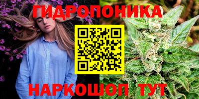 трава Бийск