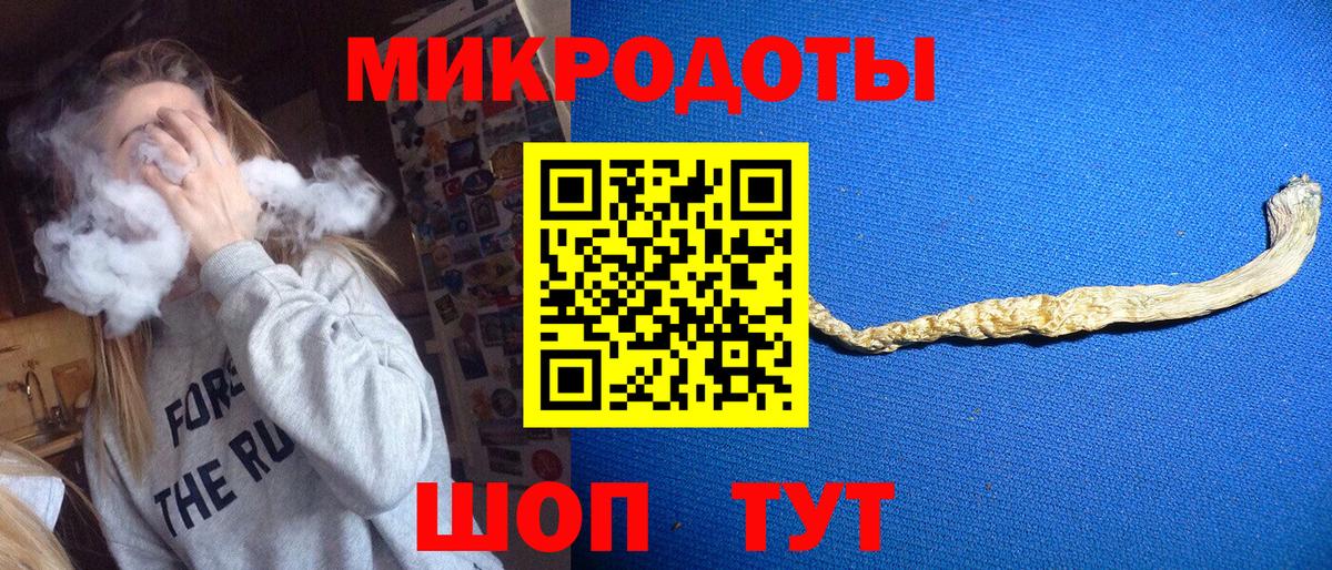 Галлюциногенные грибы Psilocybe Шали