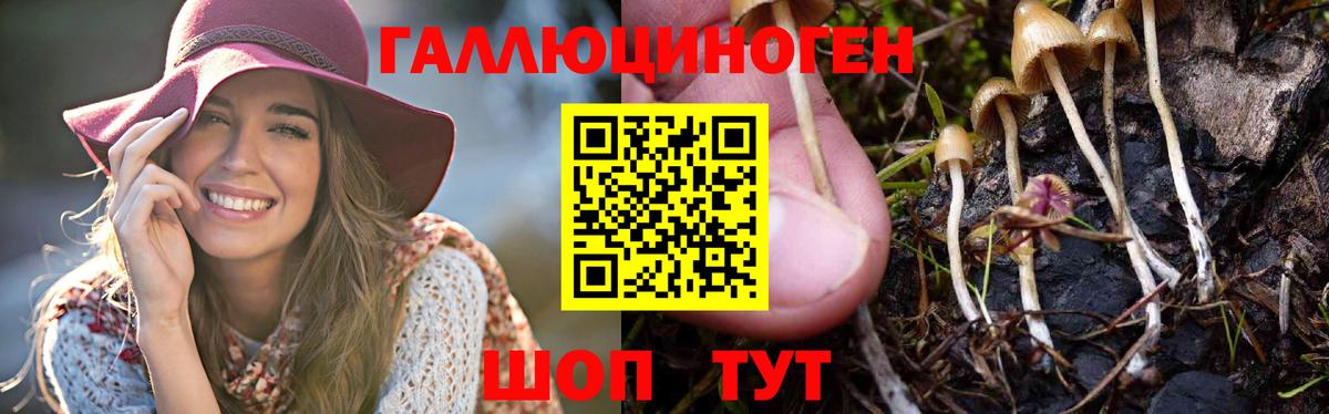 Галлюциногенные грибы Cubensis Шали