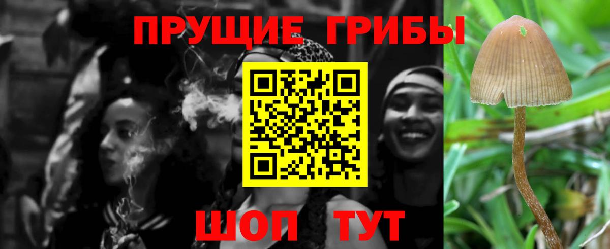 Шали  Галлюциногенные грибы GOLDEN TEACHER  Вход с VPN 